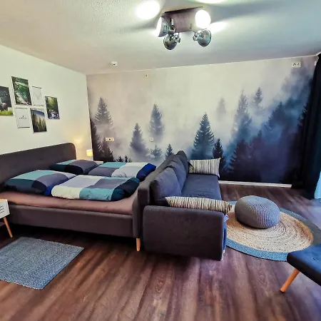 Appartement Urlaub In Andreasberg Sankt Andreasberg