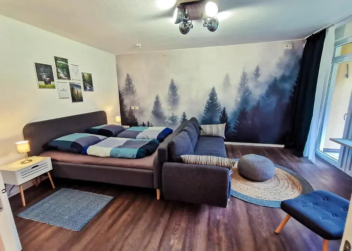 公寓 Urlaub In Andreasberg 圣安德里斯伯格